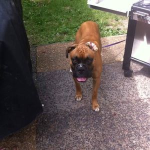 Meet your Posher, Brandon